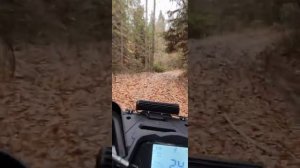 Segway Snarler 600GS AT6S on board. Drive through the forest.