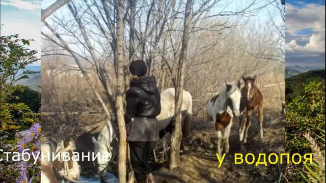 Свобода Это Рай смотреть онлайн
