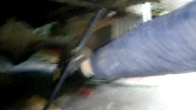 Жизнь газона. Первая серия. Извиняюсь за звук, буду исправляться. смотреть онлайн
