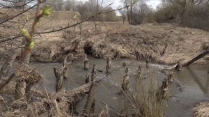 В селе под Переславлем во время паводка смыло мост через реку Рокшу