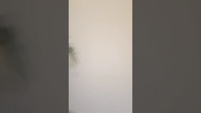 лифты млм с пластиковой обшифкой V=1 М/С смотреть онлайн