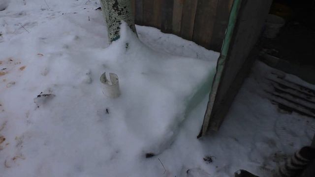 ✅Собака ДЖЕНТЕЛЬМЕН ! Дружба Собаки и Кошки, а говорят не бывает✅ Испуганный пес ! смотреть онлайн