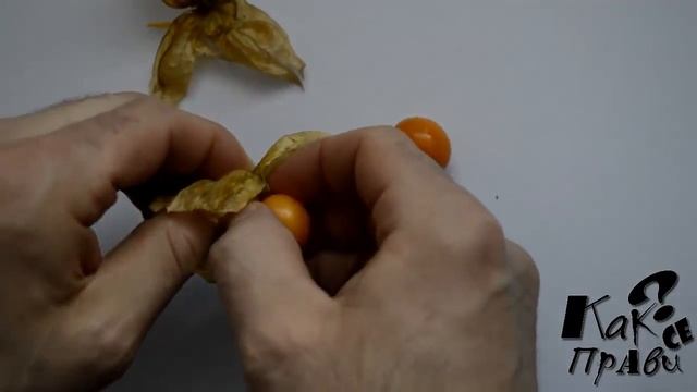 Что такое физалис и как его едят