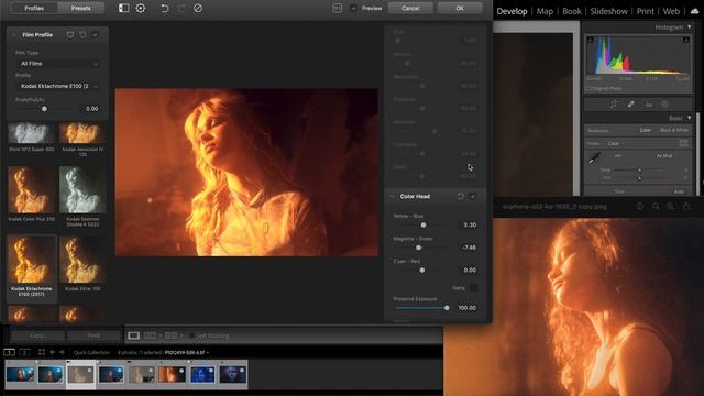 THE EUPHORIA LOOK - DEHANCER LIGHTROOM PLUGIN смотреть онлайн
