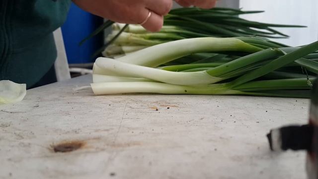 ЧИСТКА ЗЕЛЕНОГО ЛУКА смотреть онлайн