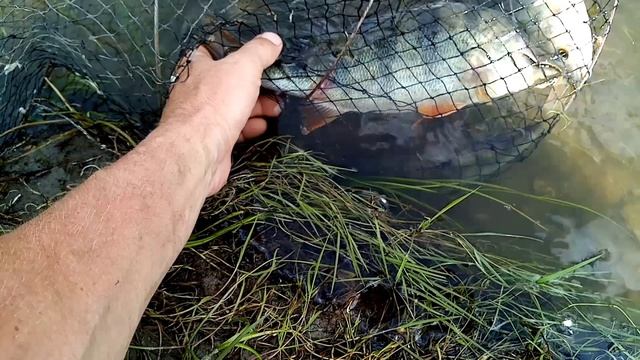 Любимая рыбалка на хищника. смотреть онлайн