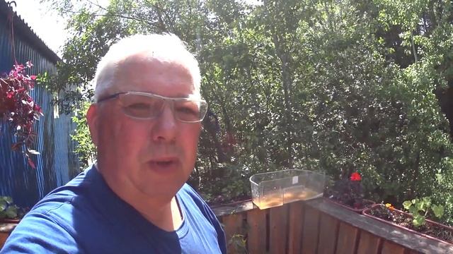 Как засолить рыбу в домашних условиях. смотреть онлайн
