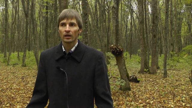 Проигрыватель Эпос 001 стерео, обзор от Звукомания смотреть онлайн