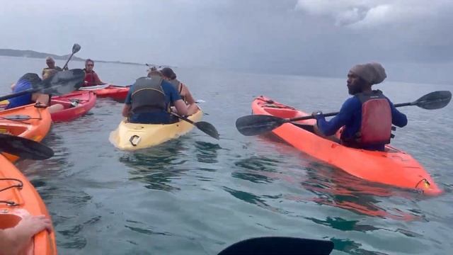 Kayak tour | Travel to west indies | Travel to Caribbean island | P&O cruises tours | смотреть онлайн
