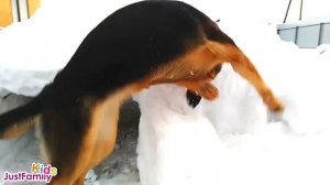 ОВЧАРКА ОТ 1 МЕСЯЦА ДО ГОДА!    German shepherd PUPPY     метис Немецкой овчарки
