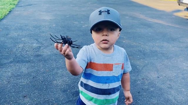 Pretend Play- Gage Plays With New Zuru Robo Alive Crawling Spider смотреть онлайн