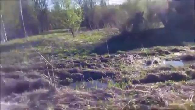 ДИКИЕ КОРЕННЫЕ МОСКВИЧИ. смотреть онлайн