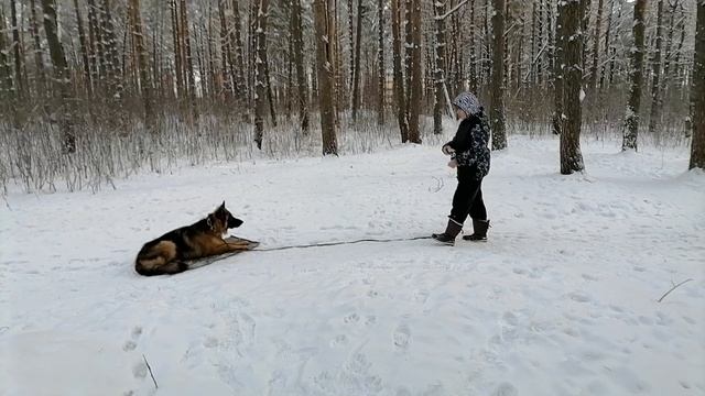 VID_20221219_115703 смотреть онлайн