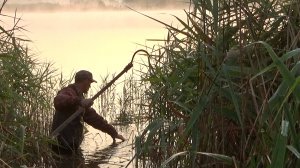 Рыбалка 27 июля на линя в окнах тростника