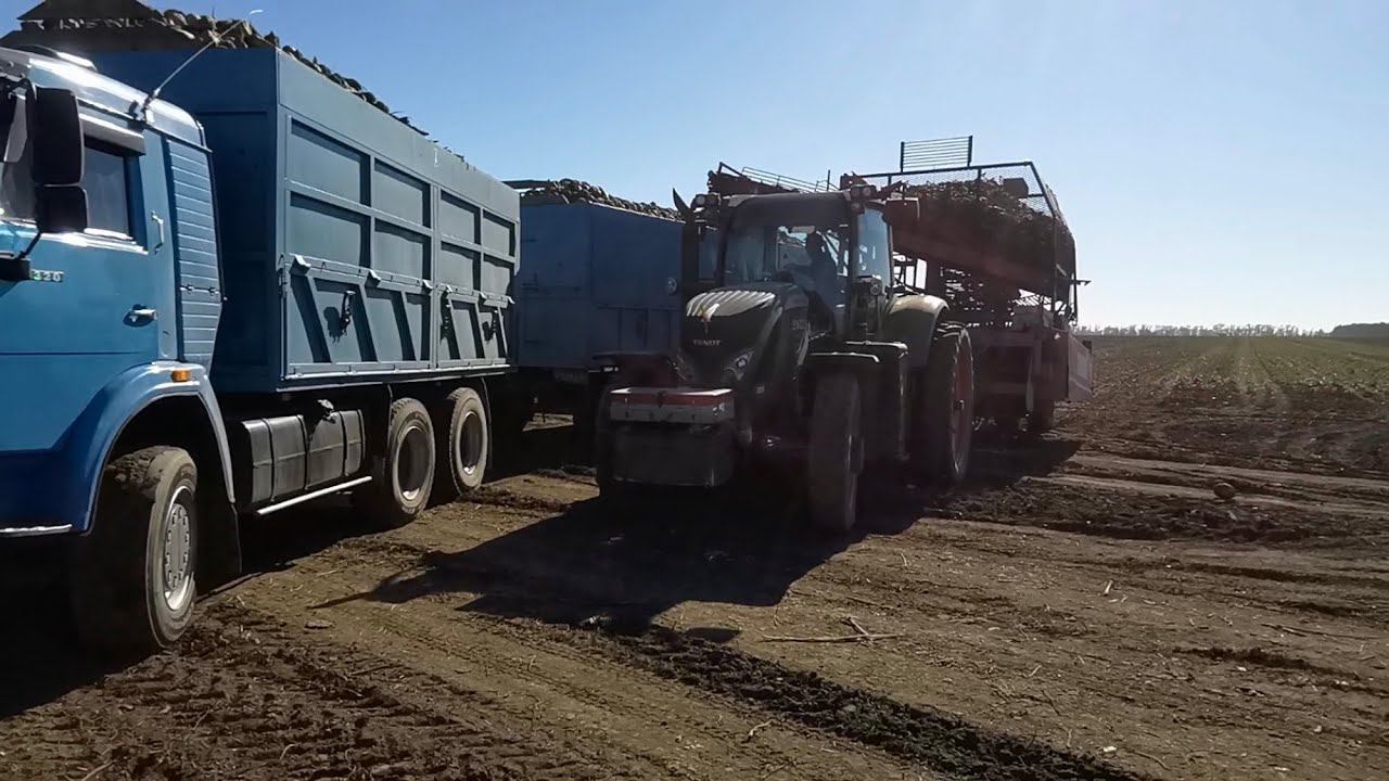 Уборка свеклы на КАМАЗЕ ) смотреть онлайн