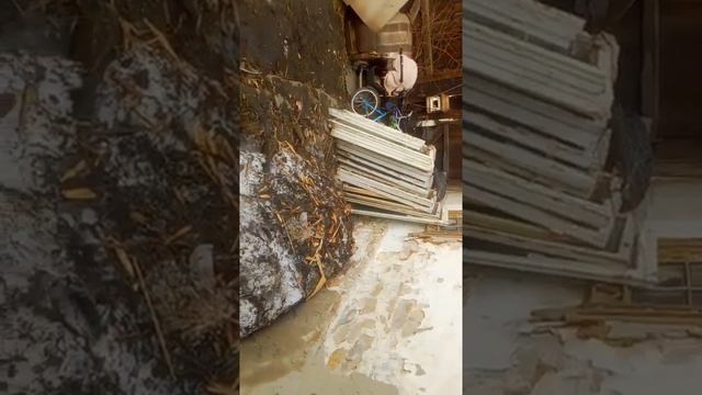 5 апреля 2020 г..mp4 смотреть онлайн