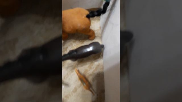 хозяйство хрюшки Розы смотреть онлайн