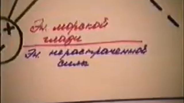 Теория эволюции. Йонас Герви. Лекция № 7, июнь 1993 года.