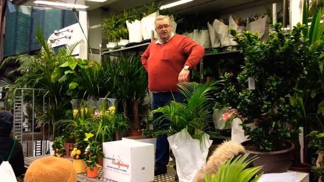 Hamburg Fish Market - Dutch Flower King - Holländischer Blumenkönig смотреть онлайн
