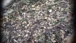 топоры труд-вача,мое мнение