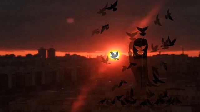 Вероника Долина "Ночной эпикриз" смотреть онлайн