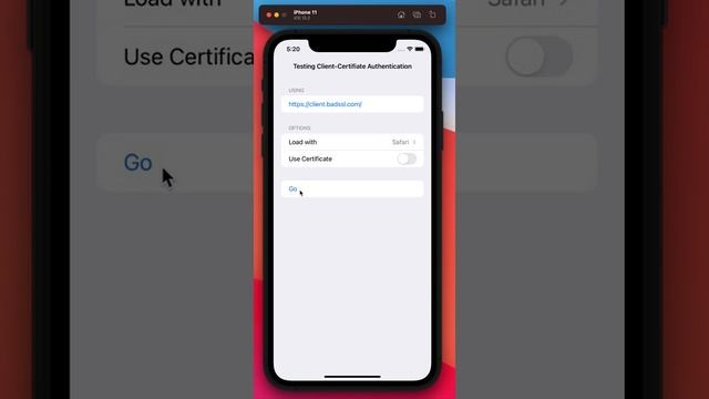 Certificate based authentication on iOS (Swift) смотреть онлайн