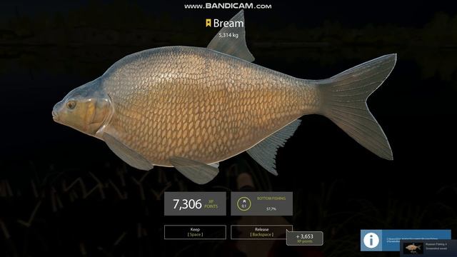 Russian Fishing 4 | Volkhov River | Trophy Bream 5.314 kg смотреть онлайн