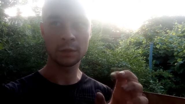 opel vectra b 2.0 dth Первые шаги диагностики смотреть онлайн