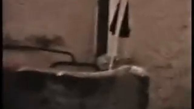 Условия содержания в спецприемнике УВД Казани не соответствуют международным стандартам X264