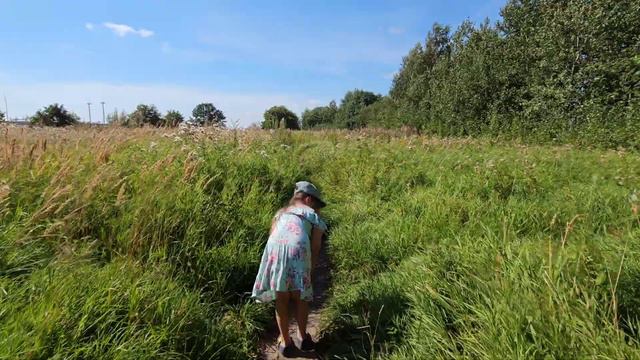 Канонерский остров, г.Санкт-Петербург, 16.08.2023 г. смотреть онлайн