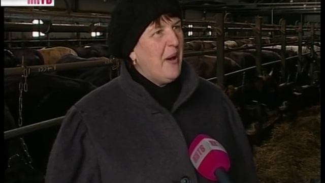 Животноводство Спасского района смотреть онлайн