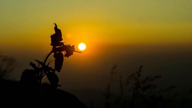 calm relaxation music guitar спокойная релакс музыка гитары смотреть онлайн