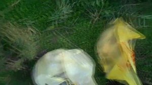 Осень 2 Снасточка с мёртвой рыбкой на щуку.