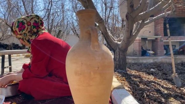 Charcoal chicken | village cooking