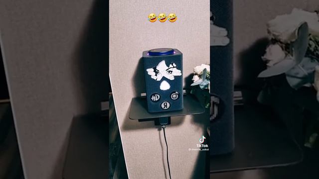 когда яндекс Алиса чем то не довольна смотреть онлайн