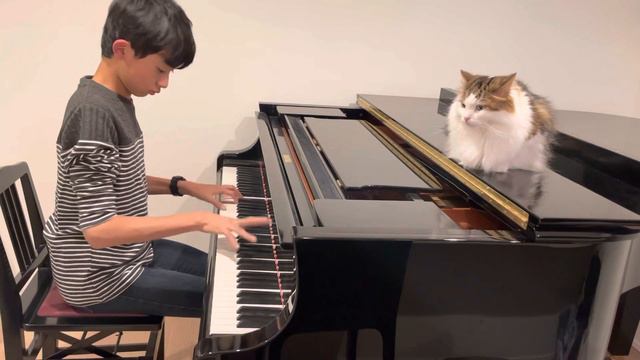 Mozart : トルコ行進曲(2) Piano Sonata in A-Major K.331, Ⅲ Turkish March / モーツァルト : ピアノ・ソナタ 第11番 イ長調 第3楽章 смотреть онлайн