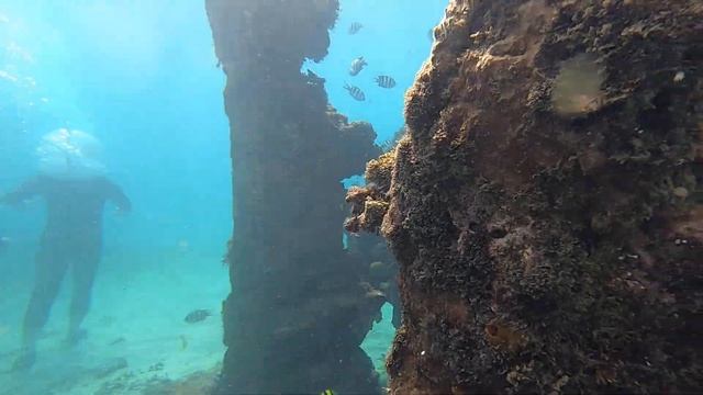 Sea Walker Bali Experience NEW NORMAL ! Sanur смотреть онлайн