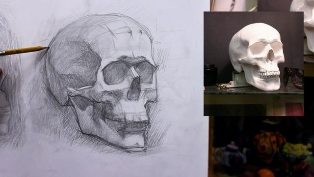 Обучение рисунку. Портрет. 21 серия: рисунок черепов - разбор полетов смотреть онлайн