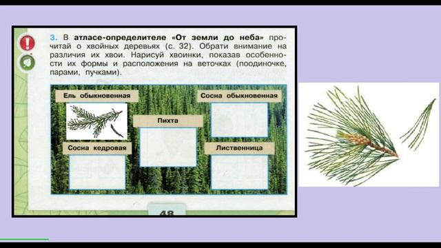 Окружающий мир 4 класс рабочая тетрадь страница 46-50. Леса России смотреть онлайн