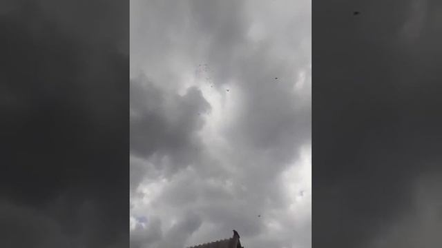 6.10.2023.МАСОВЫЙ.ПОДЬЕМ ГОЛУБЕЙ. САЛЬСКИЙ РАЙОН. АЛЕКСАНДР.. ЛОПАНКА. смотреть онлайн