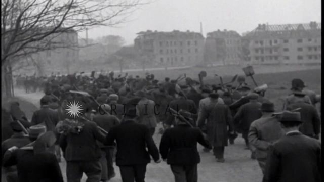 Common burial ground for the victims of German atrocities in Nordhausen,Germany. HD Stock Footage смотреть онлайн