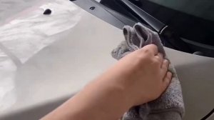 Нанесение воска на кузов авто!