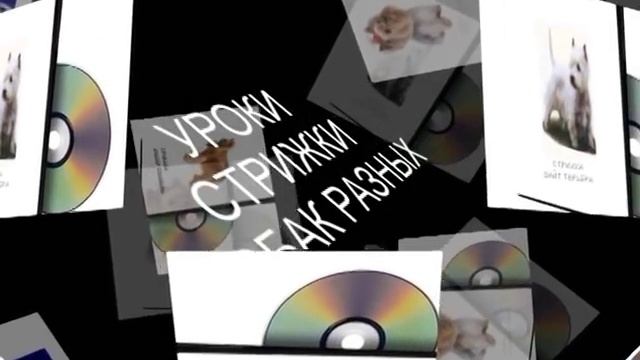 ОБУЧЕНИЕ СТРИЖКЕ СОБАК, GROOMING смотреть онлайн