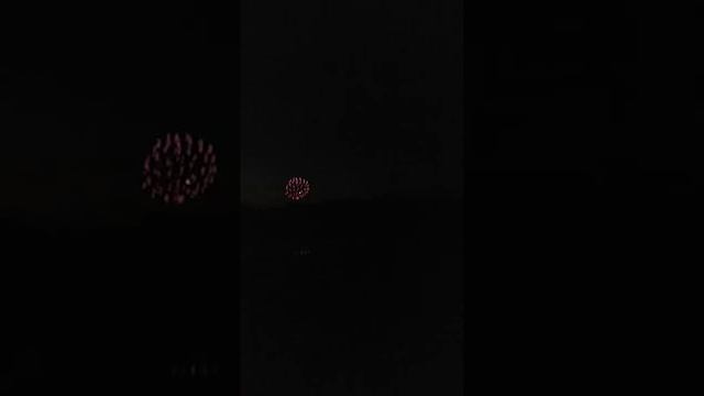 Bald Eagles in nearby nest react to fireworks смотреть онлайн