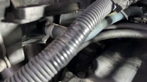 Газель Некст, троит и дёргается ! Датчик детонации.Свечи.