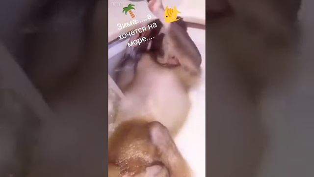 Беран смотреть онлайн