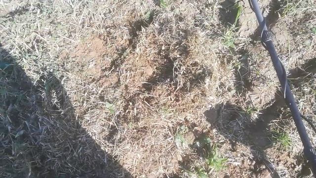 Как всегда в пути! Приборный поиск с тх 850! смотреть онлайн