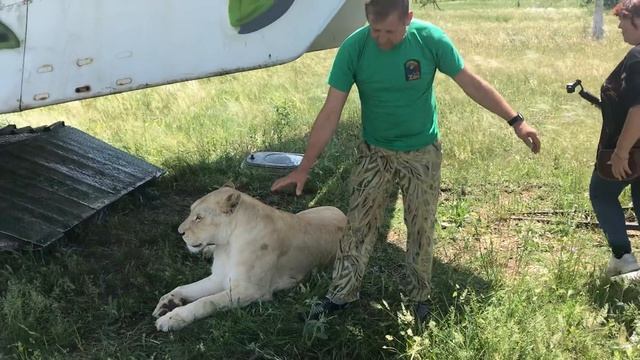 Шведка и Герда смотреть онлайн