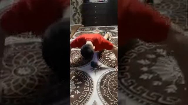 Азат. Отжимание от пола за минуту 62 раза. Пока это лучший результат смотреть онлайн