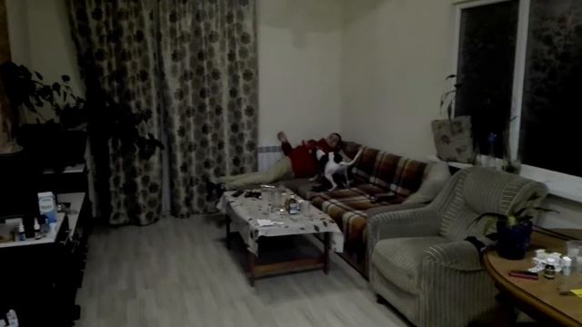 Уиппет смотреть онлайн